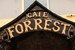 Ресторан Forrest Cafe / Форест Кафе Галерея